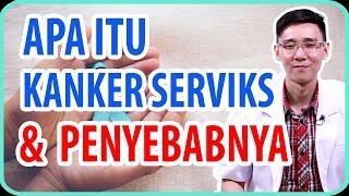 Apa itu Kanker Serviks & Penyebabnya