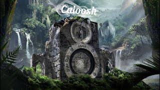 Caloosh - Wise Dub Inna Jungle  Jungle Dubwise DNB mix 2020 