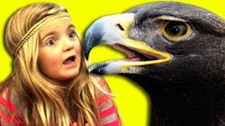 Kids React to Eagle Snatches Kid