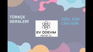 Özel İsim - Cins İsim