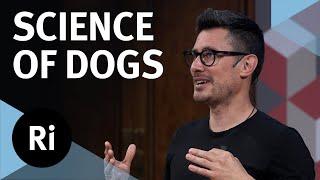 What can science tell us about dogs? – with Jules Howard