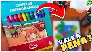 REVIEW CANETAS HIDROGRÁFICAS ARTE FELIZ 12 CORES  VALE A PENA?  Kiimba Arts