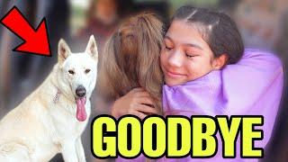 Saying GOODBYE To The MISSING PUPPY **FOREVER**    Familia Diamond