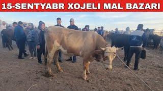 15-СЕНТЯБРЬХОЖЕЛИ МАЛ БАЗАРЫСКОТНЫЙ РЫНОКBUQALARBIG BULLS IN THE WORLDBIG COW