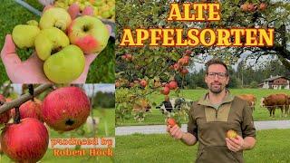 Alte Apfelsorten für Streuobstwiesen Zwillingsapfel Jakob Fischer Kronprinz Rudolf... Apfel in 4K