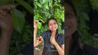 Appa vs Janani - Thagapa nose cut - Elai en pachai color?  Cook n Trek