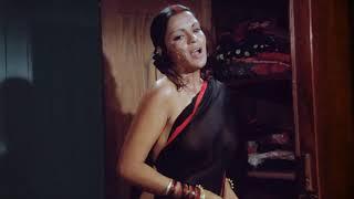 Zeenat Aman Hot Saree  Np sLp