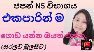 ජපන් භාෂාව වෙනස් විදියට ඉගෙනගන්න ඔබත් එන්න ‍ #sakuralanka #japaneselanguage #japanesclasssinhala