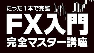 【この1本で全てわかる】FX初心者のための完全入門マスター講座