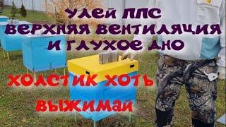 ВЕНТИЛЯЦИЯ И ЗИМОВКА В УЛЬЯХ ППС С ДЕРЕВЯННЫМ ДНОМ.ВЛАГА В УЛЬЕ.ЧТО ДЕЛАТЬ? ХОЛСТИК ХОТЬ ВЫЖИМАЙ.