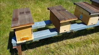 Beekeeping - A new hive stand and nucleus hives