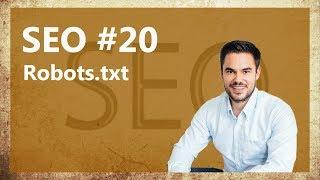 SEO Wissen - Eine Robots.txt Datei im WordPress  SEO #20