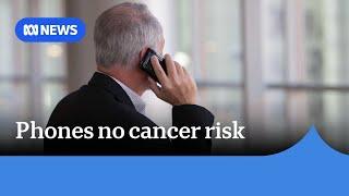 WHO finds no link between cancer and mobile phone use  ABC News