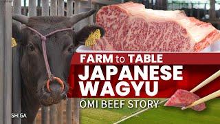 Japanese Wagyu Farm to Table  Omi Beef Story  ONLY in JAPAN
