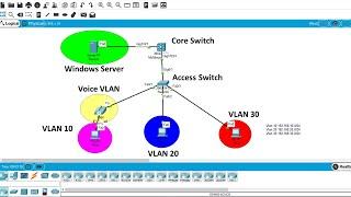 CCNA  LAB  Setup DHCP Server with Multiple VLANs  بإستخدام ويندوز سيرفر + كورسويتش