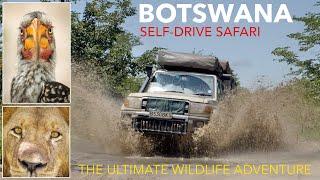 BOTSWANA TRAVEL DOCUMENTARY - 4x4 Self Drive Safari - amazing rainy season adventures in Africa