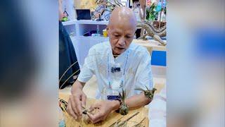 Palm-weaved insects at Belt and Road International Skills Competition