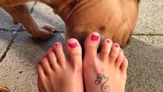 DOG LICKING BARE FEET - TOTALLYLOVEFEET