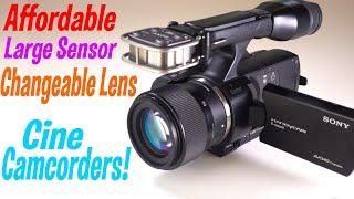 Affordable Large Sensor Camcorders JVC LS300  Panasonic AF100 Canon C100 Sony VG900 VG30 FS5ii