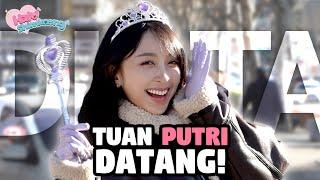 Tuan Putri Dita Datang Untuk Mendebarkan Hati Para Shimshimi l Halo Shimkoong Ep.0