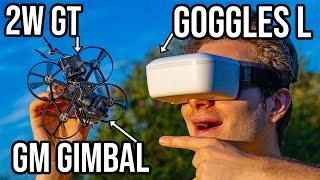 Digital Innovation Caddx Walksnail Goggles L  Avatar GT  GM Gimbal Review