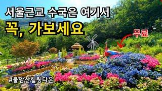 7월 서울여행 수국명소 불암산 힐링타운