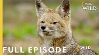 Life without Water Full Episode  Wild Chile