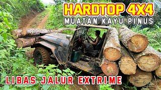 HARDTOP 4X4  MUATAN KAYU PINUS  LIBAS JALUR EXTRIME