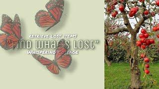 ‗  find whats lost {} lost items subliminal audio.