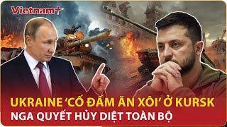 Toàn cảnh Thế giới 69 Ukraine ngoan cố điều thêm quân tới Kursk Nga chốt nóng “hủy diệt toàn bộ