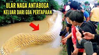 Geger  Ular Naga Antaboga Angling Dharma Keluar Dari Goa Pertapaan