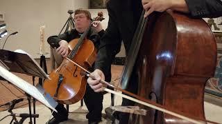 BARRIÈRE - PRESTO Sonata G major  Guido Schiefen cello & Božo Paradžik double bass LIVE 2018