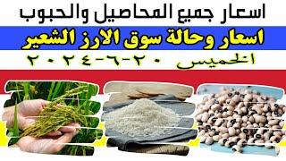 اسعار الارز الشعير اليوم _ الاسعار بعد التغير الحكومي الجديد