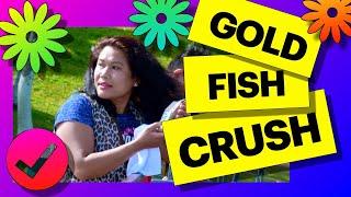 gold fish crush