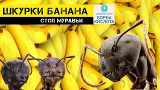 КОЖУРА БАНАНА с борной кислотой капкан для МУРАВЬЕВ