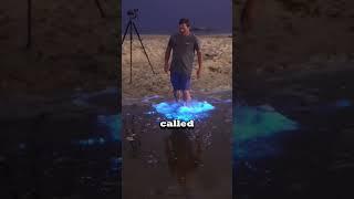 Why is this water glowing BLUE? 