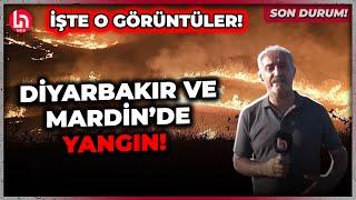SON DURUM Diyarbakır-Mardin yangınında son durum ne? Ferit Demir detayları aktardı