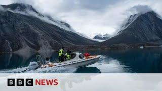 Greenland tsunami shook earth for nine days  BBC News