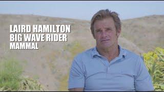 Laird Hamilton Marine Mammal Care Center Celebrity Ambassador