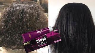 Canvo Line Hair Straightening Kit Review By @anmolhindi