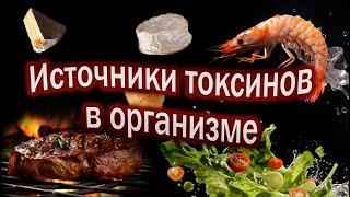 Токсины попадают в организм из этих продуктов  Пять источников токсинов