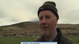 Irish Farmers Glorious Accent Is So Strong Here are the subtitles