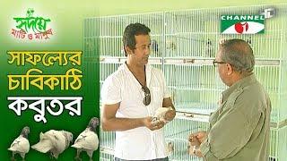 কবুতর পালনে অবিশ্বাস্য সফলতা  Shykh Seraj  Channel i 