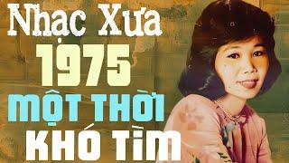 Nhạc Xưa 1975 Hay Nhất Một Thời Khó Tìm  Nhạc Vàng Xưa Sài Gòn 1975 Nhiều Danh Ca Đắt Giá Vô Cùng