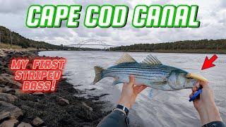 Cape Cod Canal STRIPED BASS FIRST TIME