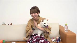 Eng Sub Miyu Tomita and her Tsundere Dog - Amuse Voice Actor Channel