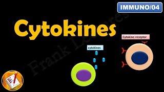 CYTOKINES  ILs INFs TNFs CSFs and Chemokines FL-Immuno04