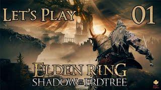 Elden Ring Shadow of the Erdtree - Lets Play Part 1 Into the Land of Shadow