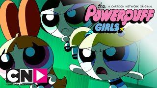 Fetițele Powerpuff  Trecutul surorii  Cartoon Network