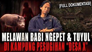 SETIAP 1 SURO TUMBAL BERJATUHAN  PESUGIHAN TUYUL BABI NGEPET & BANASPATI BERKELIARAN DI DESA INI